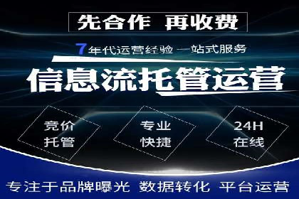 SEM竞价实战技巧，案例讲解与应用
